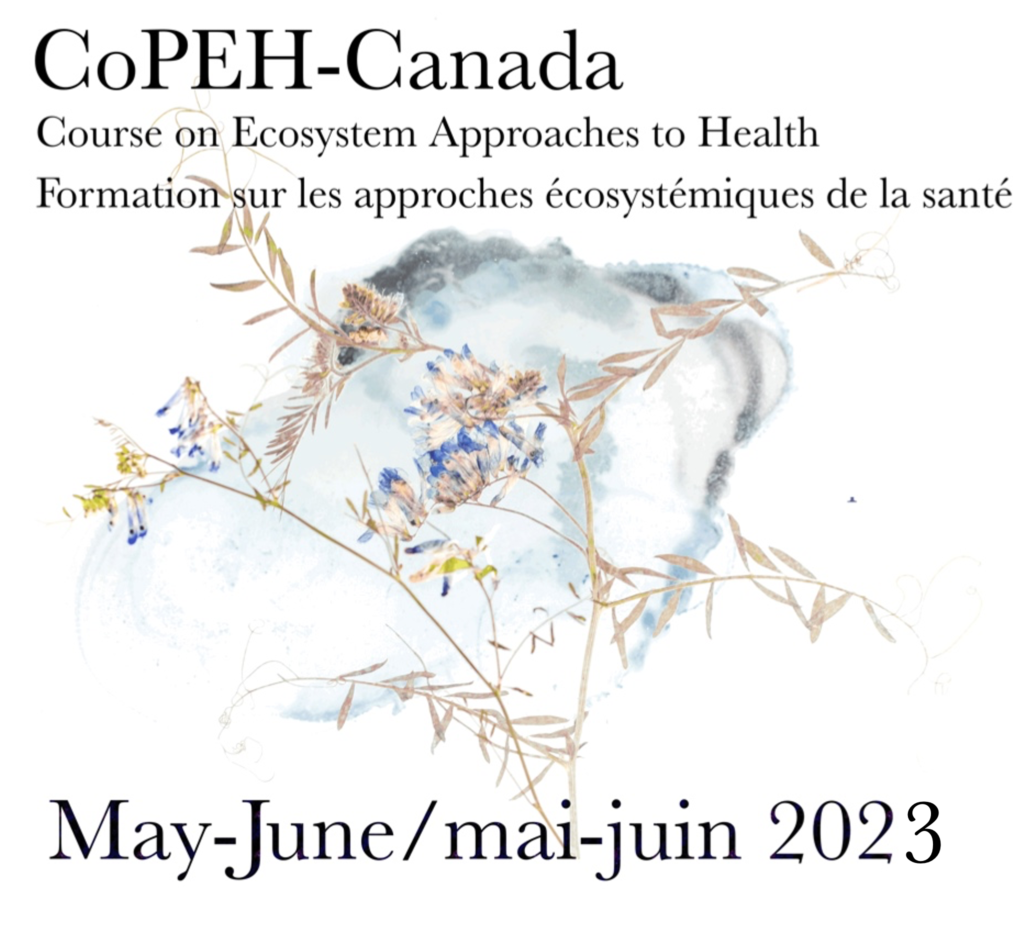 CoPEH Canada course logo 2023