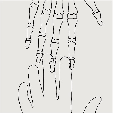 Hands sq