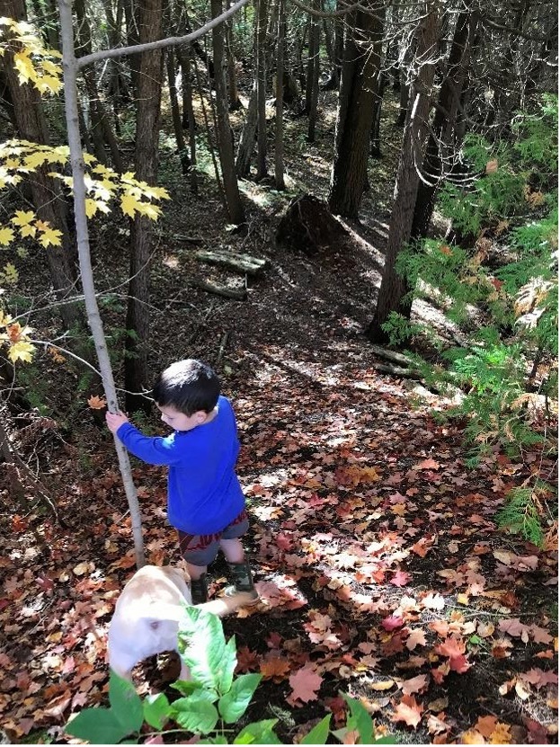 boy tree