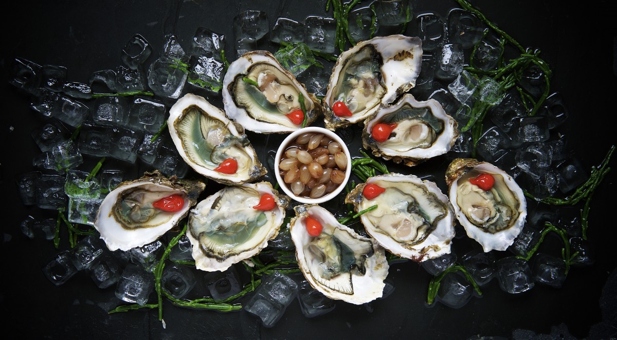 oysters delicacy food fresh gourmet raw seafood shellfish 595412